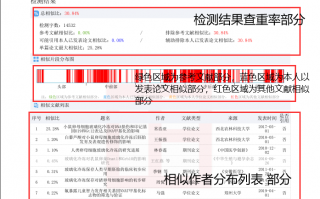 毕业论文主要技术指标 查重检测报告单中4个比较重要的指标