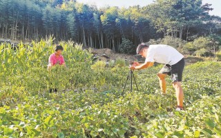 修水农村短视频制作 合拍的00后·三下乡｜湖南信息学院学子修水行 双井村探路茶旅融合新可能